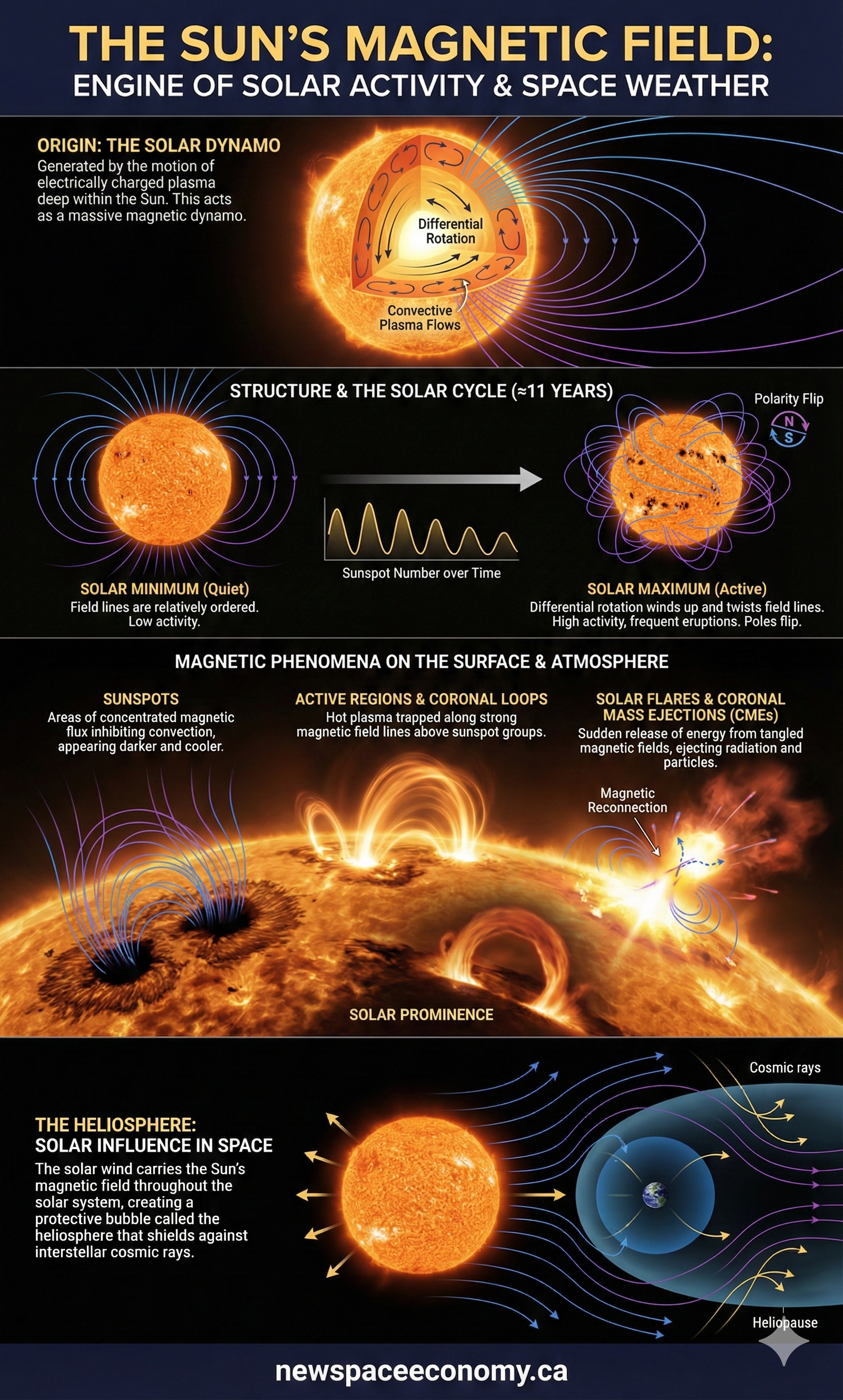 THE SUN’S MAGNETIC FIELD: ENGINE OF SOLAR ACTIVITY & SPACE WEATHER